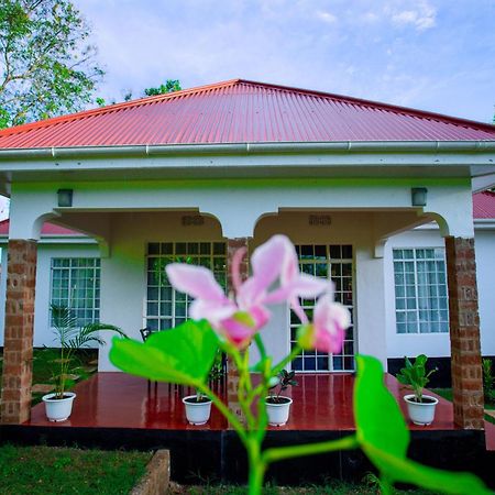 Royal Homestay Moshi Exterior photo